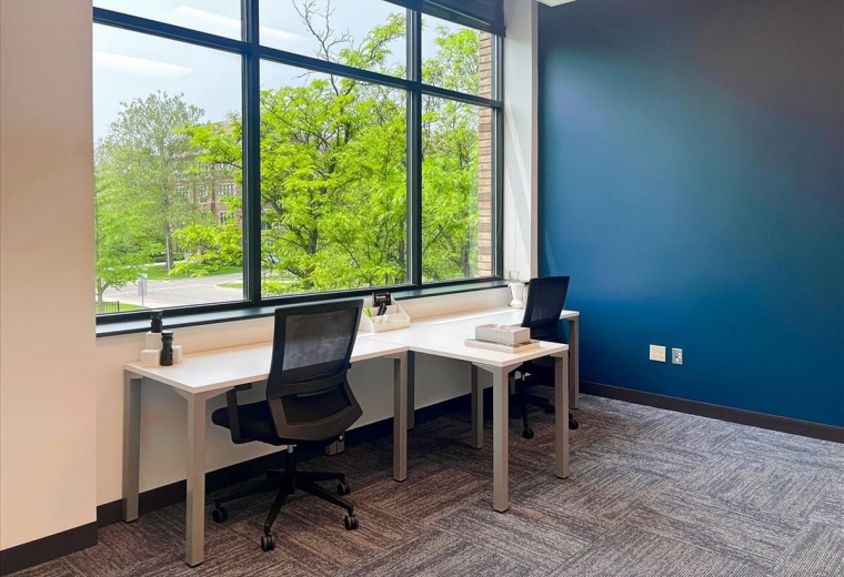 Spacious two-person office with large windows overlooking trees at 333 East Grand River Avenue.