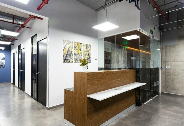 Lago Alberto No. 442, Torre A, Piso 5, Col. Anzures, Miguel Hidalgo, Ciudad de México, Mexico City