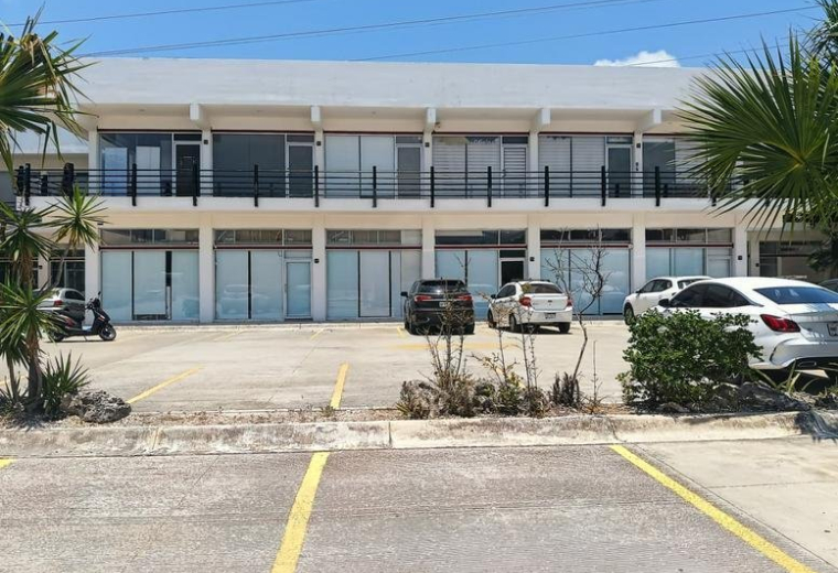 Exterior view of the Plaza Palmeras building facade with parking and palm trees.