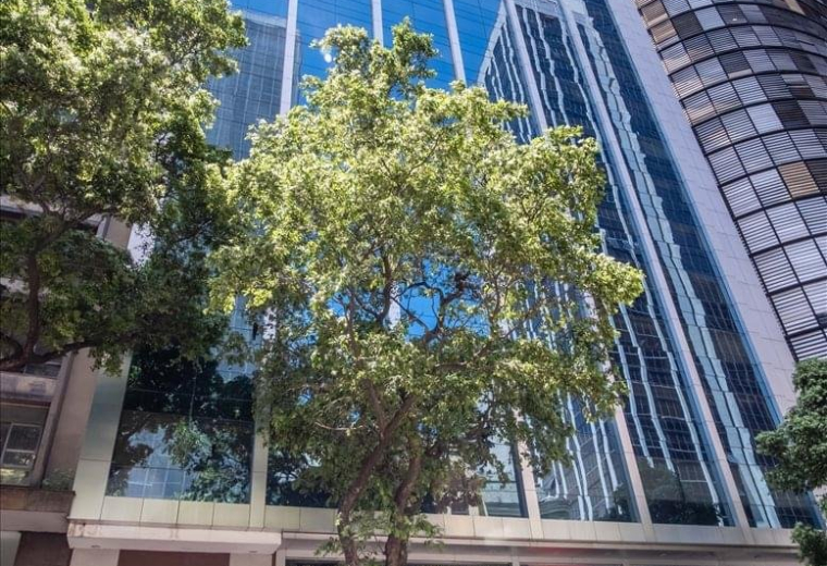 Offices at RB115 Building, Rio Branco Avenue, 115 , 19th & 20th floors, Downtown