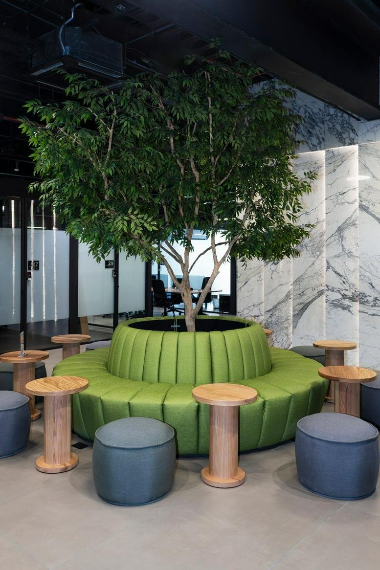 Communal lounge with a large indoor tree and circular green seating at 5420, Boulevard Reforma.