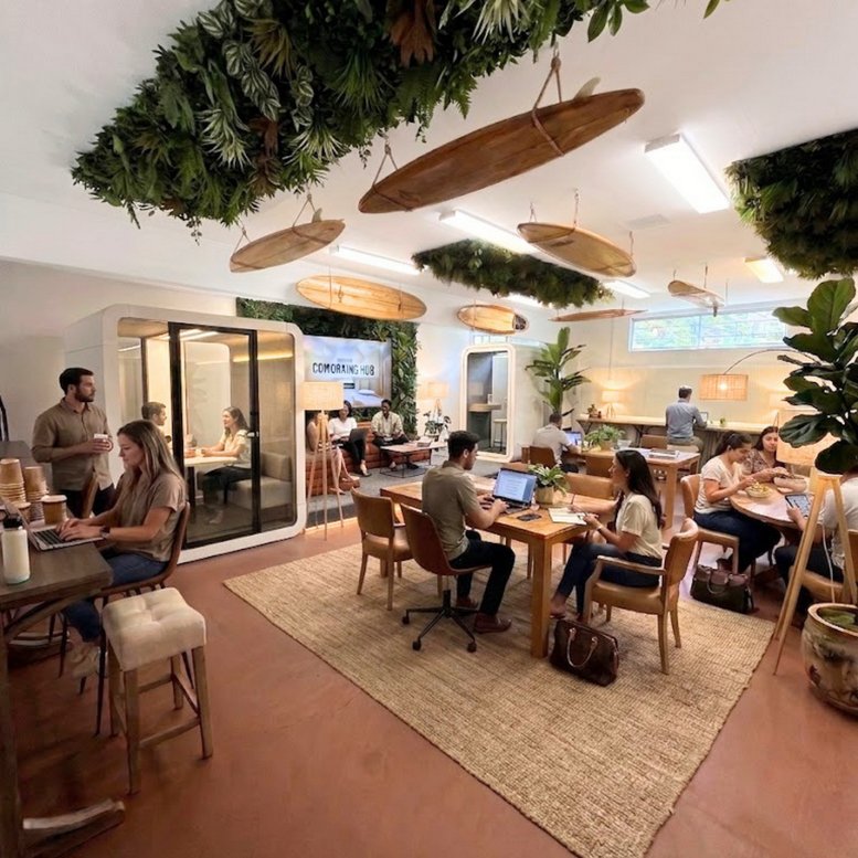 Spacious coworking area at 950, 41st Avenue with wooden surfboard ceiling decor and lush hanging greenery.