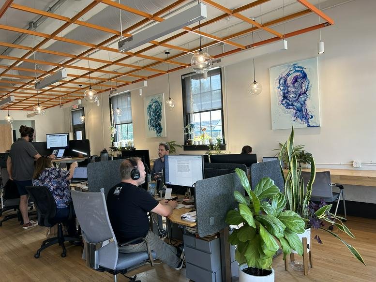 Modern open-plan office with timber ceiling grid and abstract wall art.