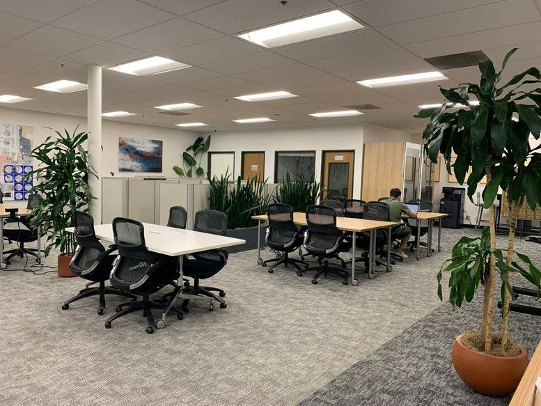 Bright open-plan office space with multiple white desks, ergonomic chairs, and large indoor plants.