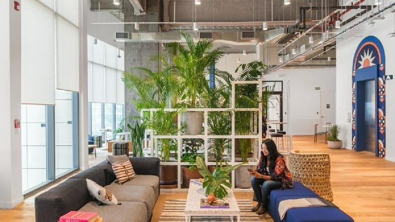 Spacious communal lounge at Torre Mitikah featuring vibrant plants, a grey sofa, and large windows.