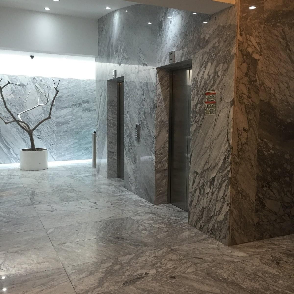 Marble elevator lobby with decorative branch sculpture at Laguna de Terminos 221.