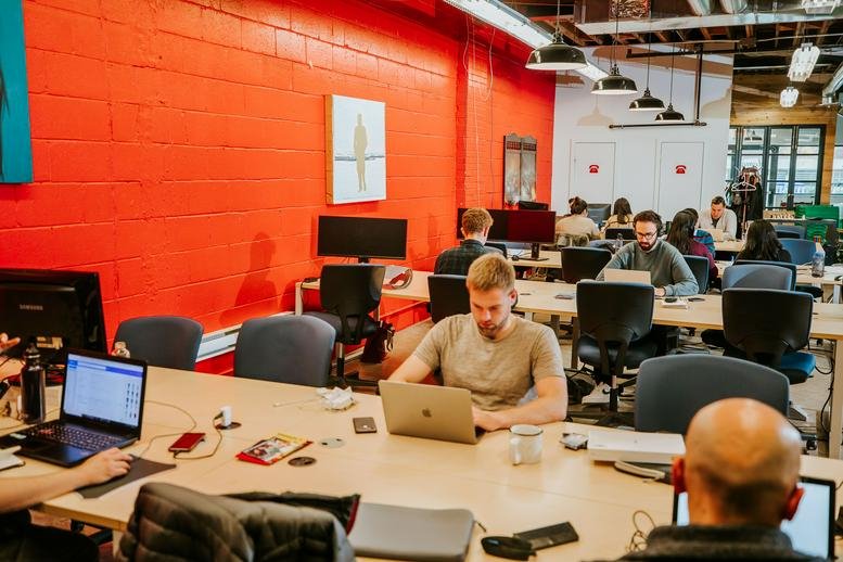 Lively open-plan workspace at 229 Niagara Street featuring a vibrant red brick feature wall.