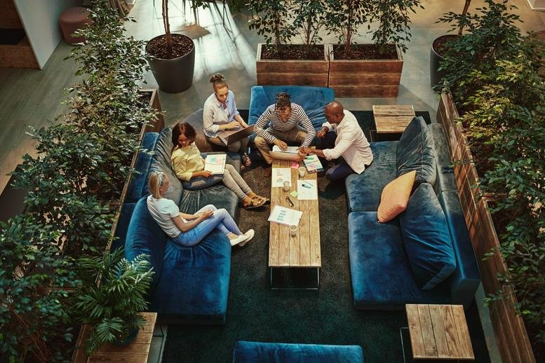 Overhead view of a vibrant communal lounge with blue velvet sofas and many indoor plants.