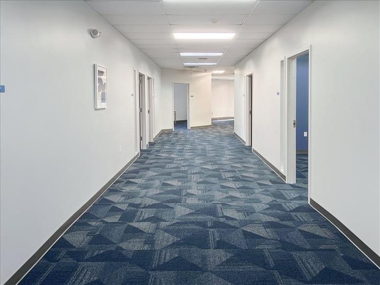 Wide view of a brightly lit white office corridor with geometric patterned carpeting.