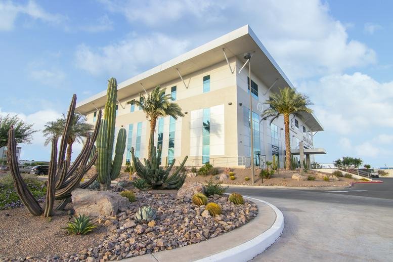 Modern exterior of the 2901, Calzada Cetys building featuring desert landscaping and cactus plants.