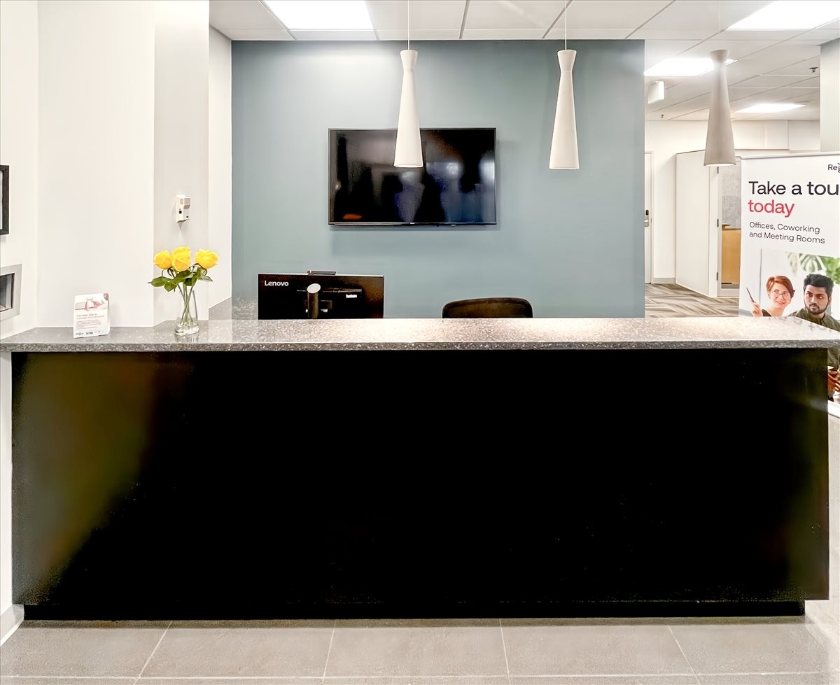 Modern reception area at 50 Catoctin Circle NE, Suite 101 with a black desk and blue feature wall.