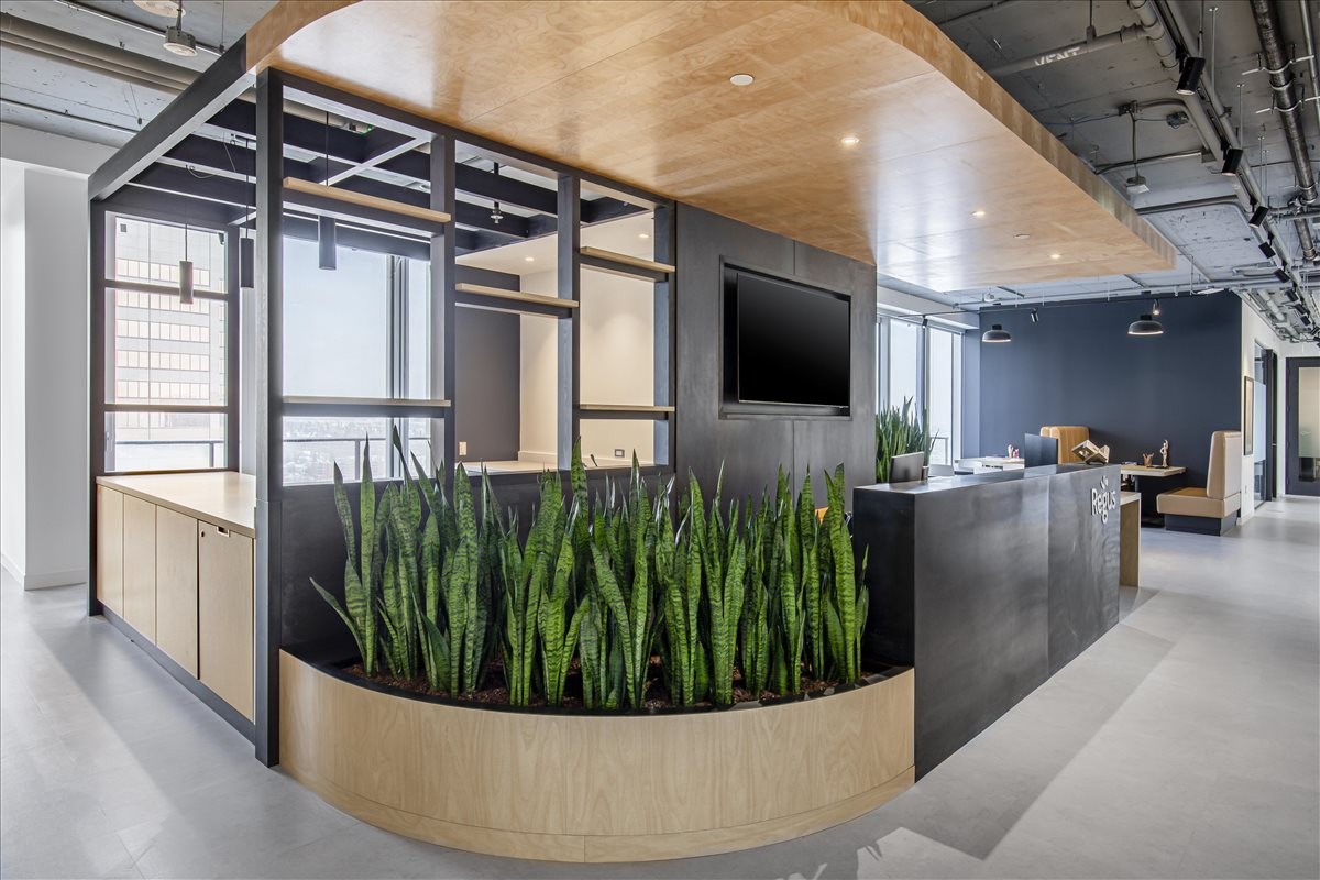 Reception desk featuring a built-in planter with greenery and a warm wood-paneled ceiling canopy.