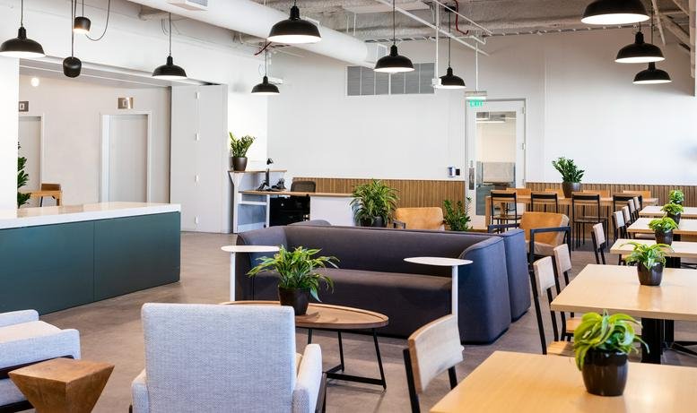 Bright communal lounge and dining area with potted plants and diverse seating options.