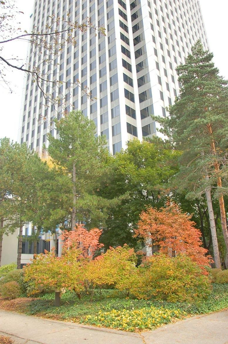 Exterior view of the white high-rise Top of Troy building framed by autumn trees.
