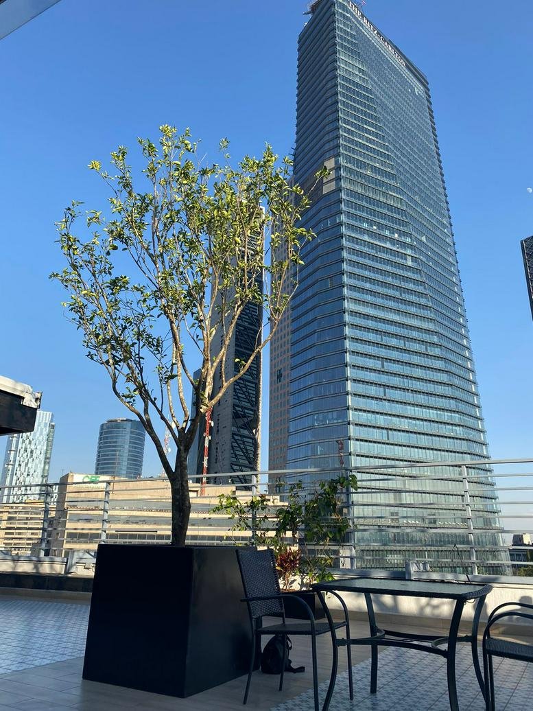 Exterior view of the glass-facade Melchor Ocampo No. 469 tower from a rooftop terrace.