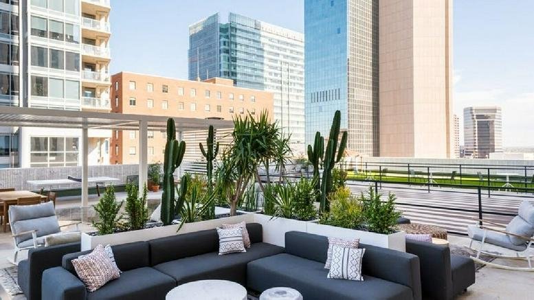 Rooftop terrace with lounge seating and desert plants at 101 North 1st Avenue.