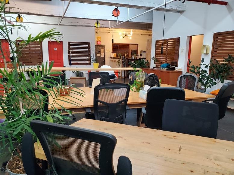 Spacious open-plan workspace at The COMPOUND, 1120 Washington Avenue with wooden desks and indoor plants.