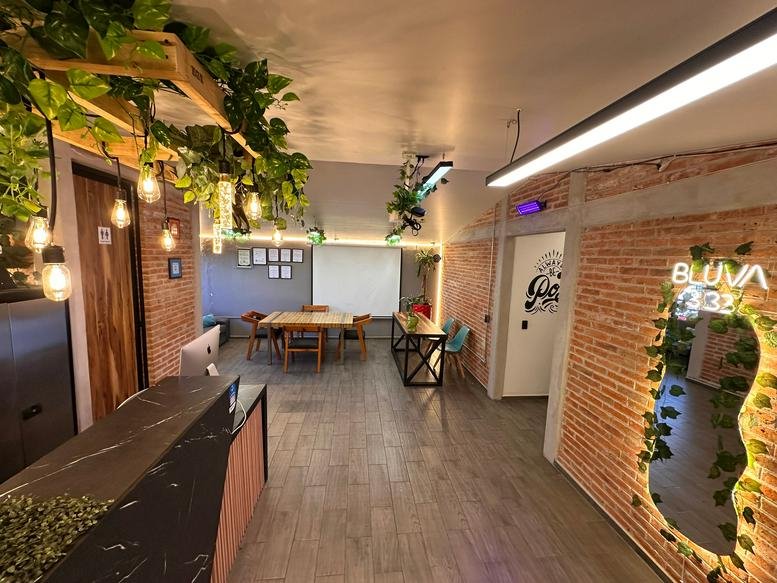 Main lobby of Punto de Negocios with brick walls, hanging greenery, and a reception desk.