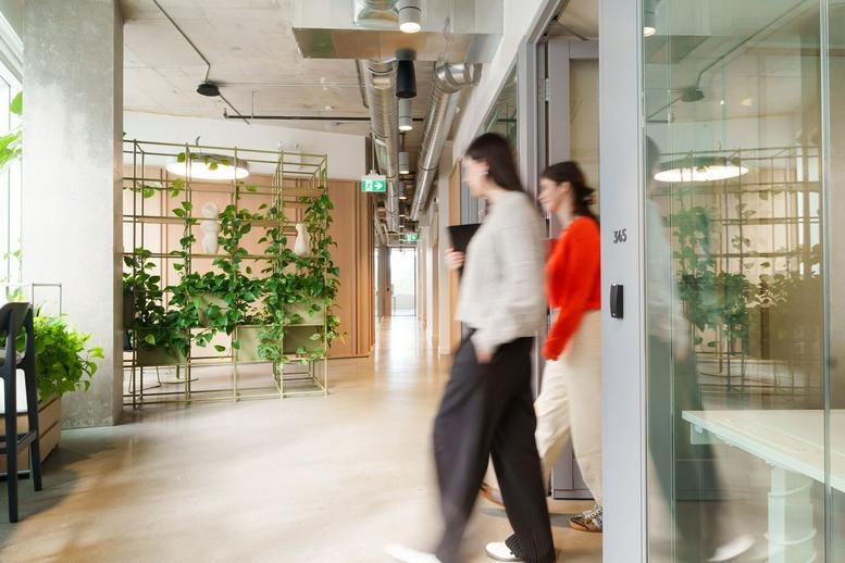 Bright hallway at And-Co featuring blonde wood walls and a decorative plant divider.