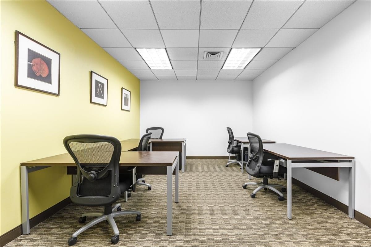 Shared office suite at 1 Liberty Plaza, 165 Broadway with desks and ergonomic chairs against a yellow feature wall.