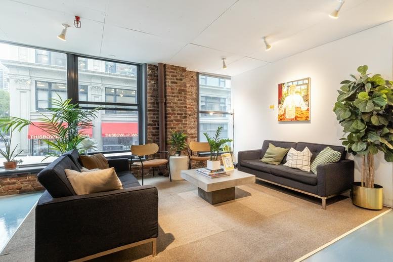 Bright communal lounge at 234 5th Avenue with plush sofas, potted plants, and large windows.