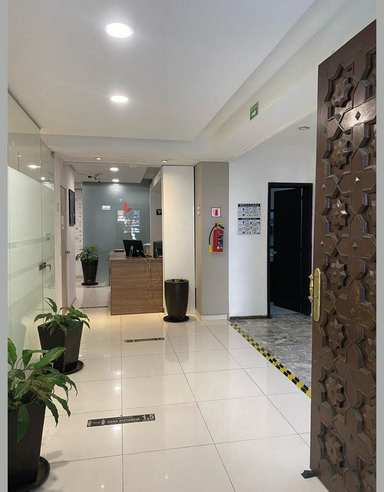 Bright reception area at Diagonal Golfo de Cortés featuring indoor plants and a wooden front desk.