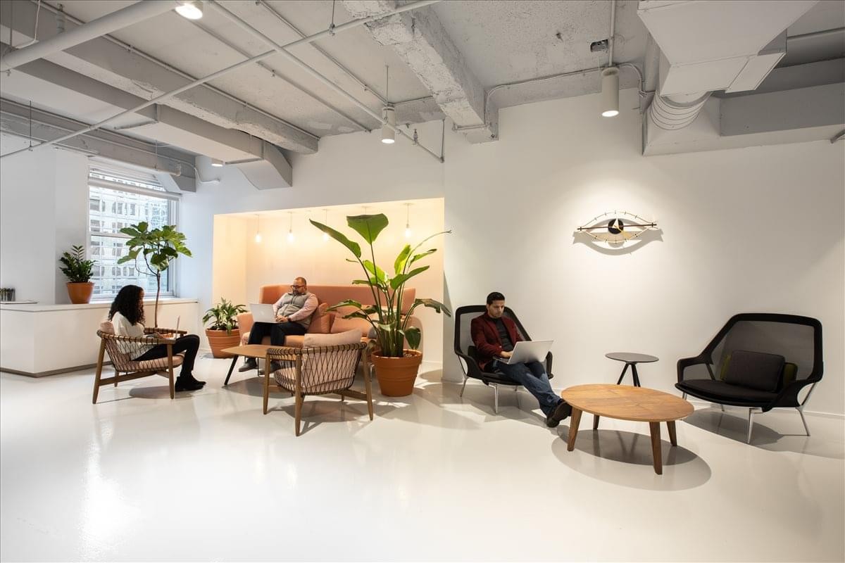 Sun-drenched lounge area with stylish mid-century furniture and large leafy green plants.