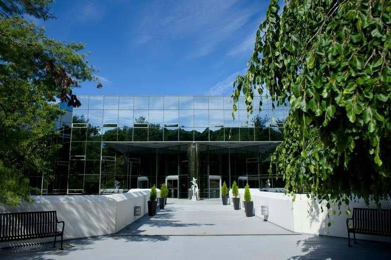 Modern glass entrance of 500 Mamaroneck Avenue with white walkways and green foliage.