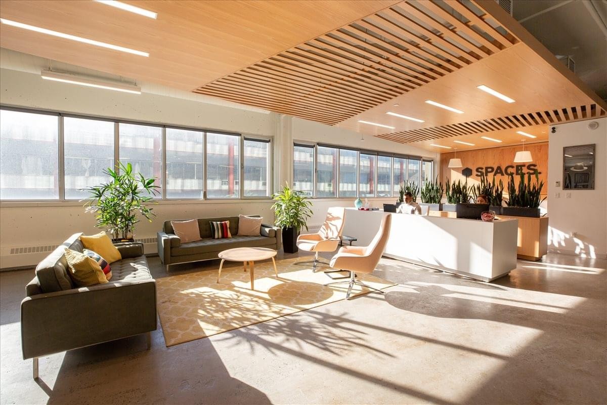 Spacious reception lobby with a white front desk and warm wood-slatted ceiling.