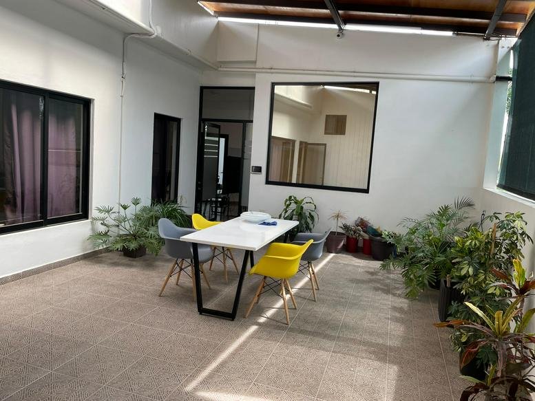 A light-filled communal workspace at AGBHUB with indoor plants and a white table with yellow and grey chairs.