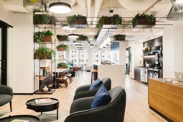 Spacious coworking lounge with hanging plants, modern seating, and natural light.