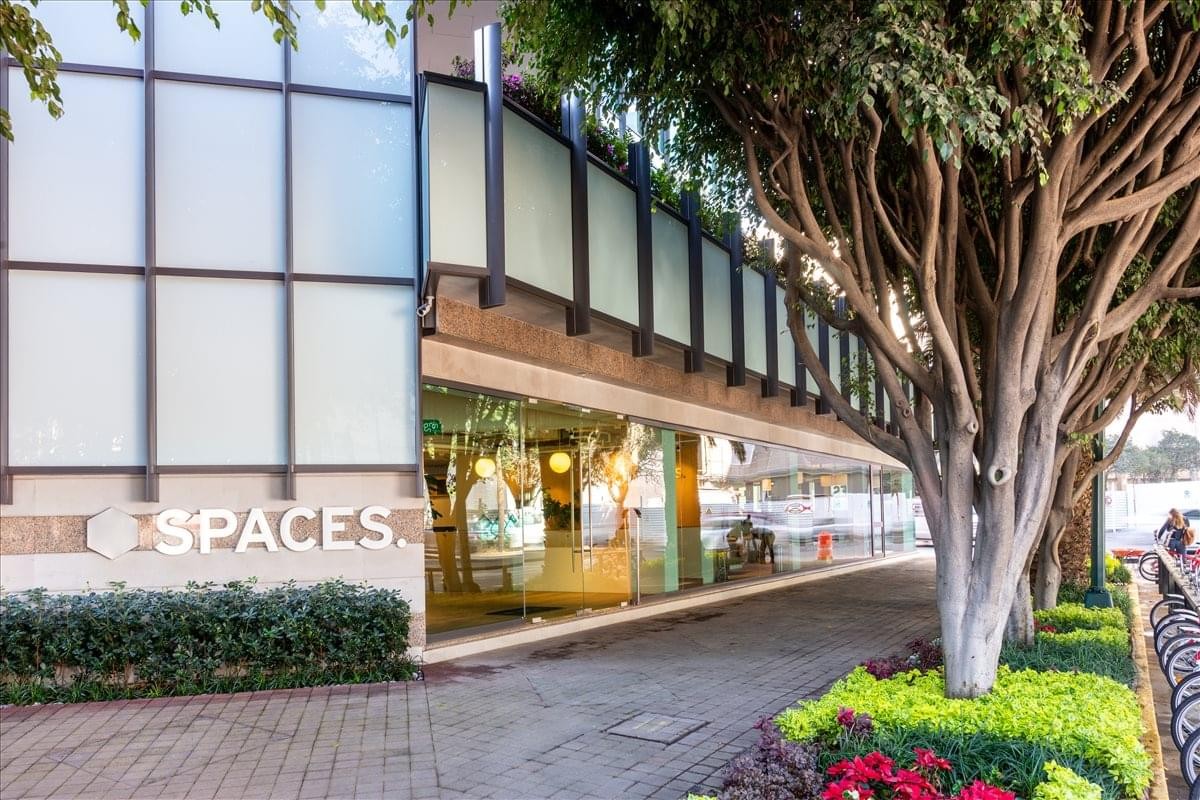 Exterior view of the Arquimedes 15 building with large glass windows and lush green trees.