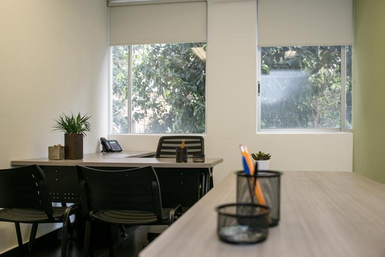 Private office at Av. Baja California No. 274, piso 2 with natural light and potted plants.