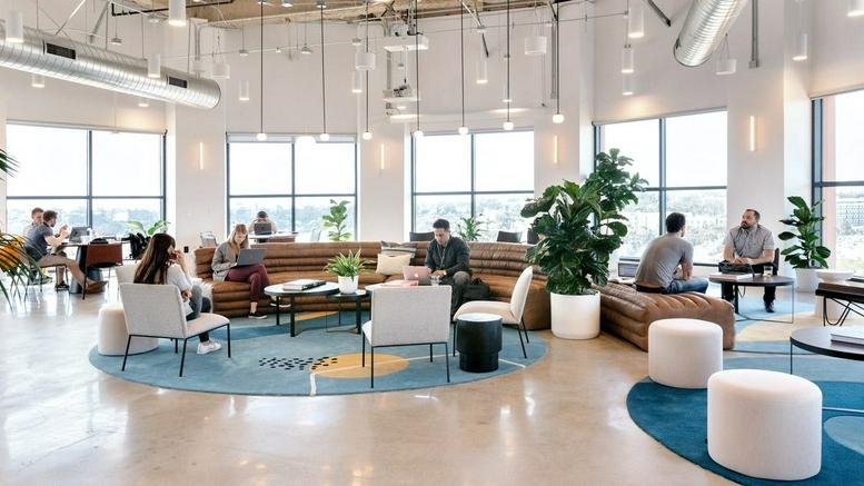 Spacious open-plan lounge with circular blue rugs, potted trees, and large windows.