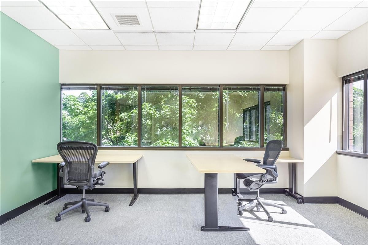 Spacious two-person office suite at Calder Plaza, Downtown Grand Rapids with large windows and green feature wall.