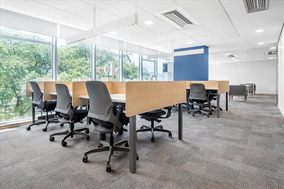 Bright open-plan coworking area at Machete Building 804 with wooden partitions and leafy views.
