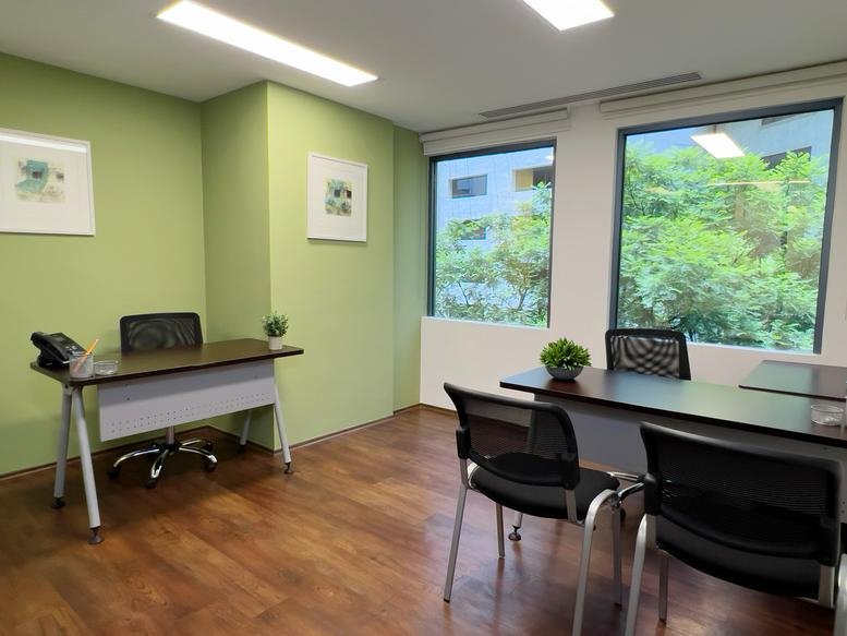 Bright private office with green walls, two wood-top desks, and large windows.
