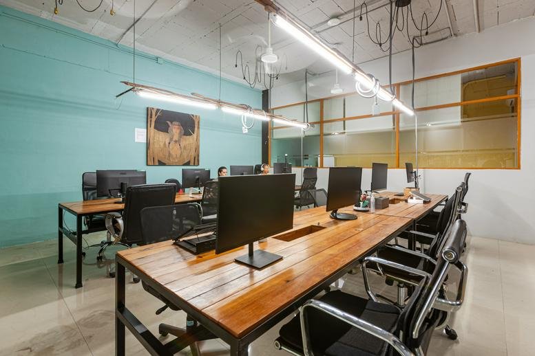 Spacious open-plan workspace at Nest Coworking with long wooden desks and teal accent wall.