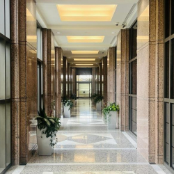 Executive offices to hire in Columbia