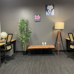 Executive suite - Orlando (Florida)
