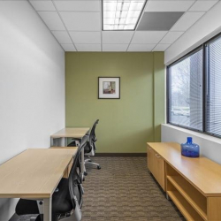 Offices at 100 Horizon Center Blvd, 1st and 2nd Floors