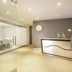 Executive offices to lease in Miami Beach