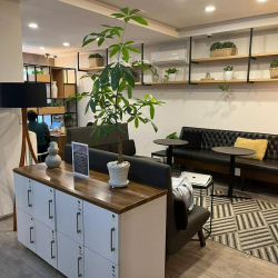 Interior of 101, Avenida Isaac Newton, Chapultepec Morales