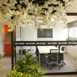 Executive office to hire in Mexico City