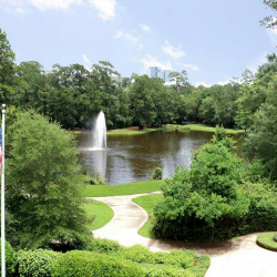Executive suite in The Woodlands