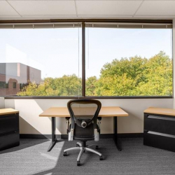 Office suite to lease in Princeton