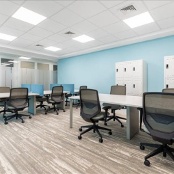 Large open-plan workspace featuring rows of desks and a bright blue accent wall.