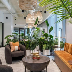 Executive offices in central Miami
