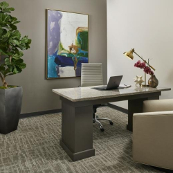 Office suite - Alpharetta (Georgia)