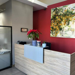 Chihuahua serviced office